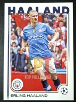 Erling Haaland frente