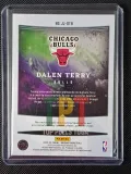 Dalen Terry 3 color Patch RC /35 verso