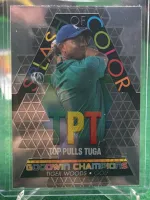 2022 Goodwin Champions Splash of Color Tiger Woods frente